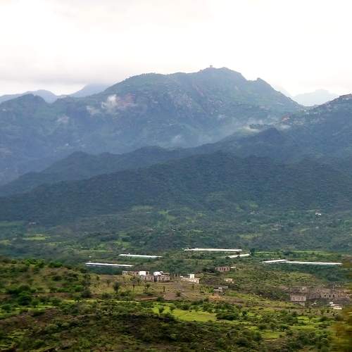 Photo #6572722