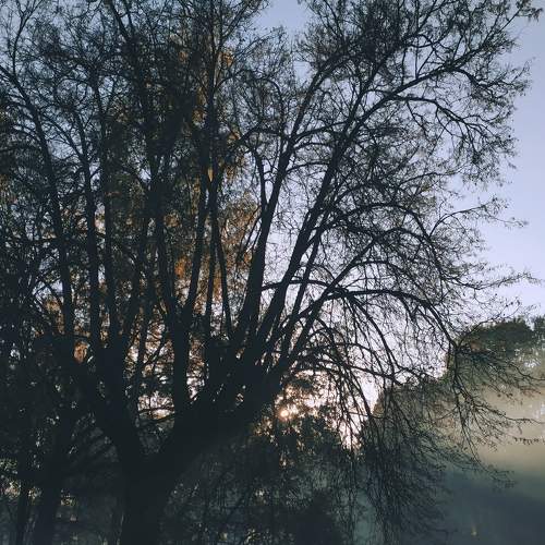 Photo #6572724