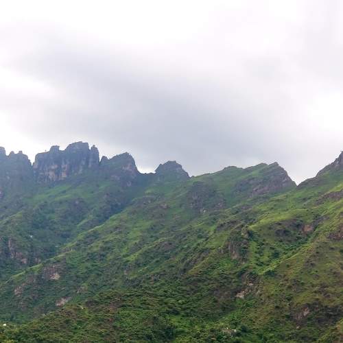 Photo #6572745