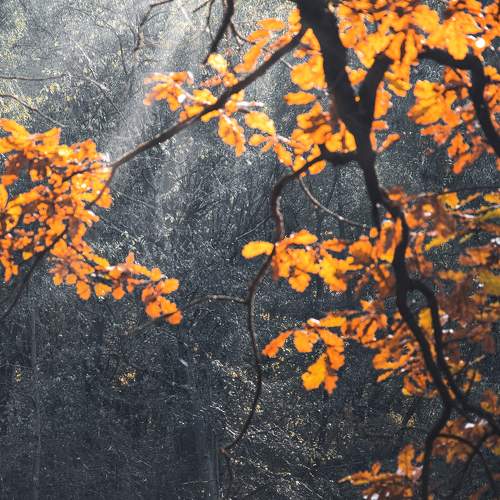 Photo #6572846