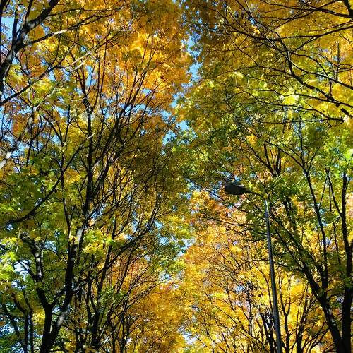 Photo #6573088