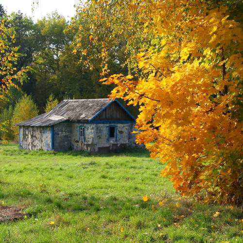 Photo #6573115