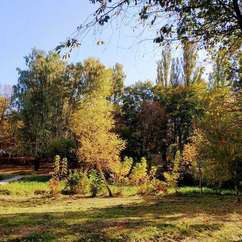 Photo #6573585