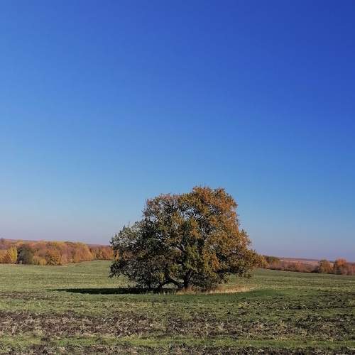 Photo #6574043