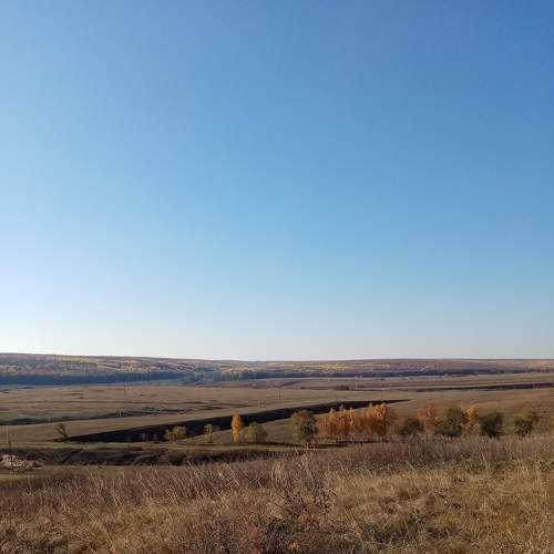 Photo #6574050