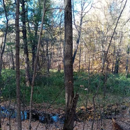 Photo #6574297