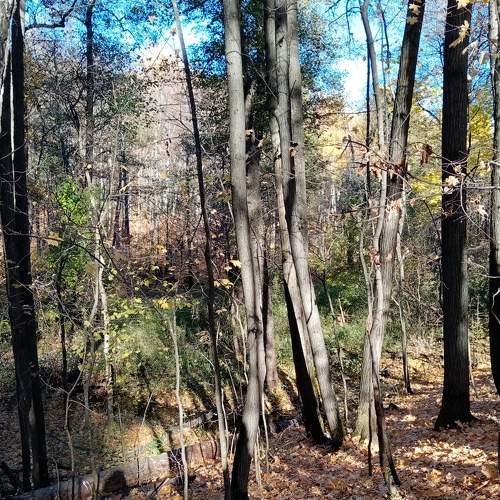 Photo #6574299