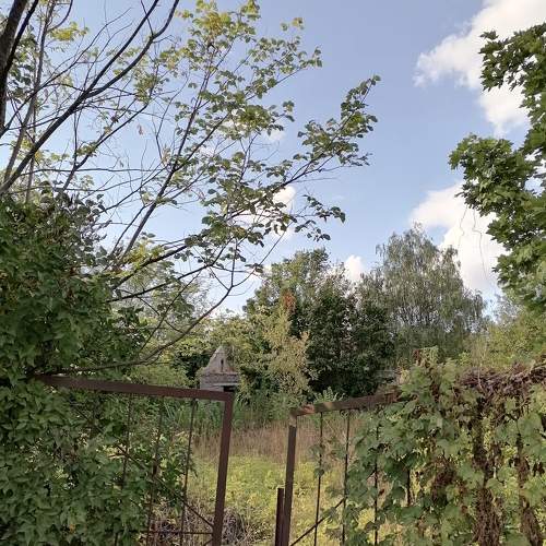 Photo #6574362