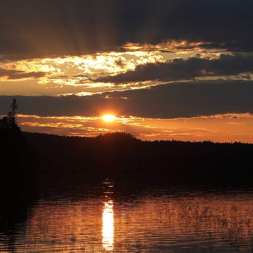 Photo #6574512