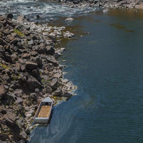 Photo #6574519