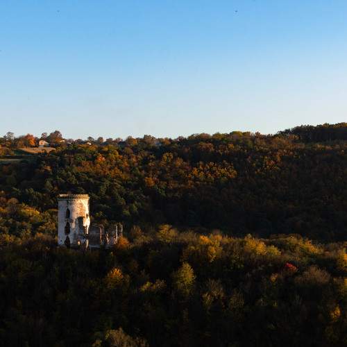 Photo #6574557