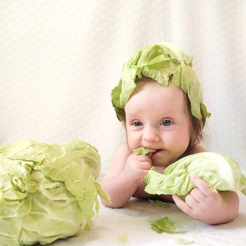 Photo #6574790
