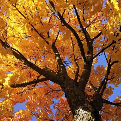 Photo #6574798