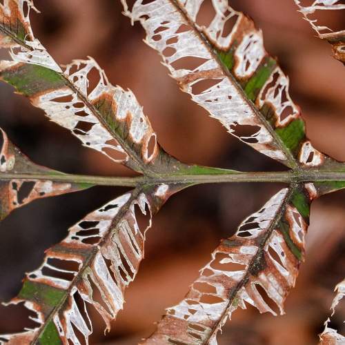 Photo #6575012
