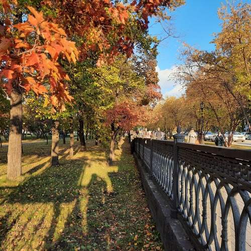 Photo #6575270