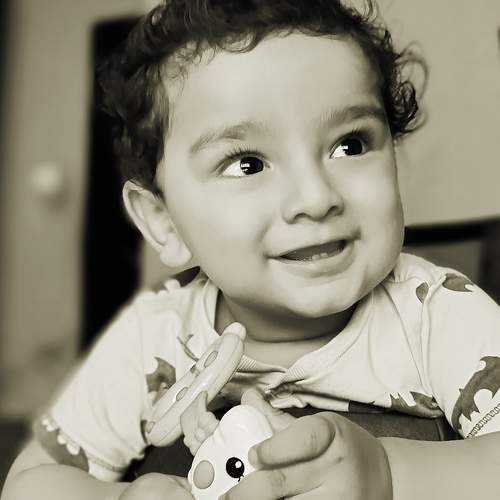 Photo #6575352