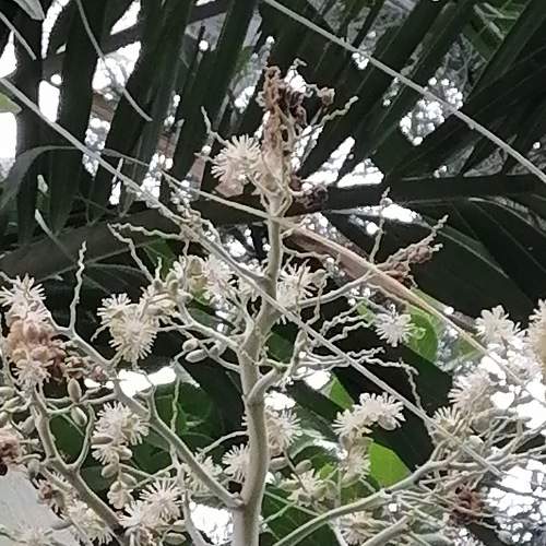 Photo #6575399