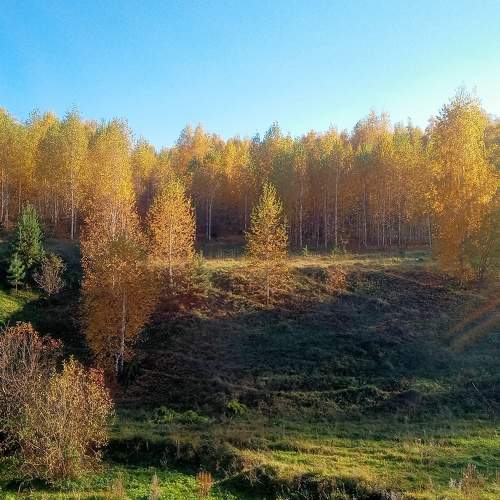 Photo #6575604