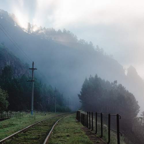 Photo #6575652