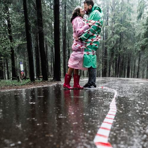 Photo #6575959