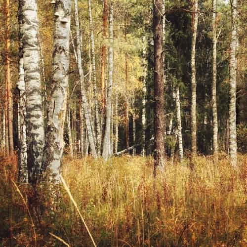Photo #6576101