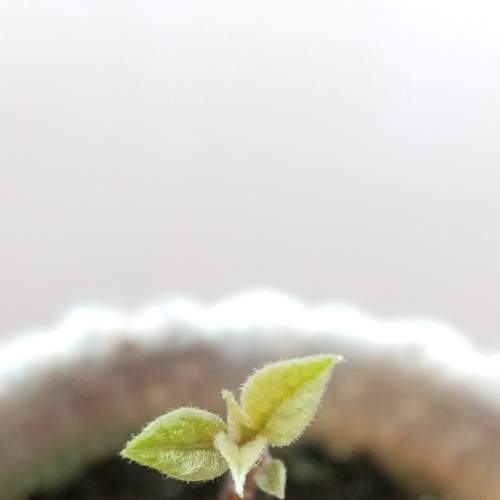 Photo #6576403