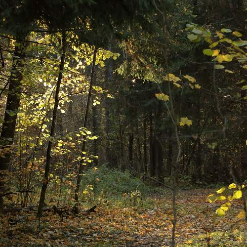 Photo #6576449