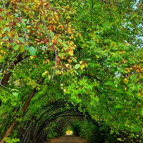 Photo #6576656