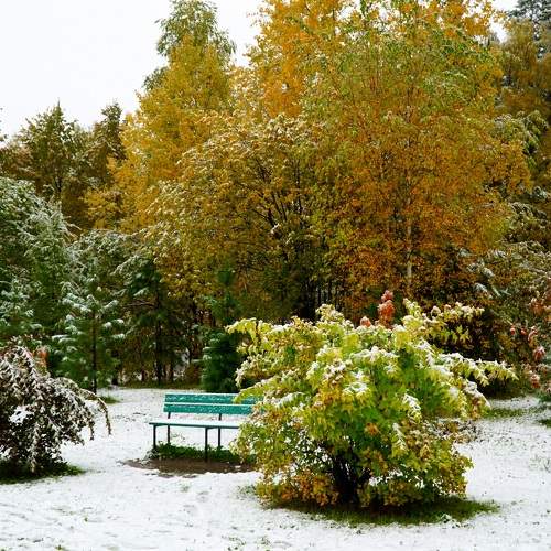 Photo #6576662