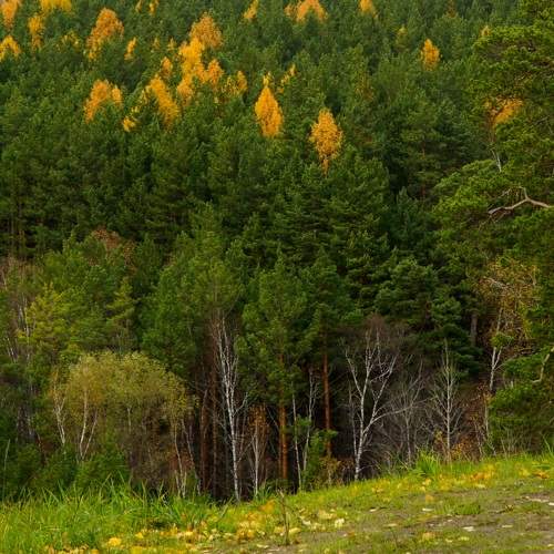 Photo #6576666