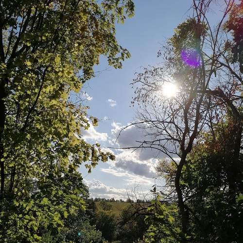 Photo #6576984