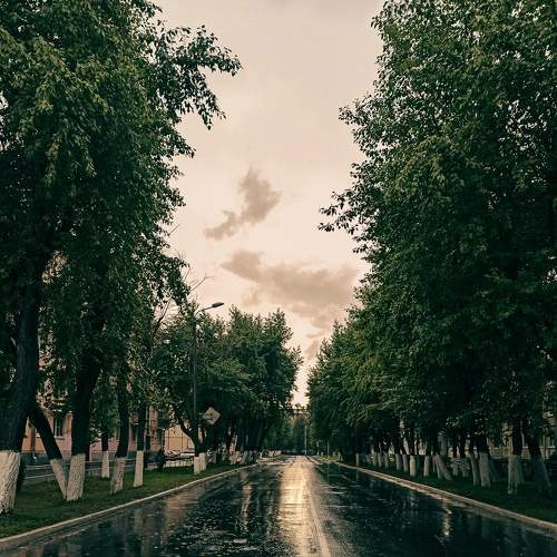 Photo #6577186