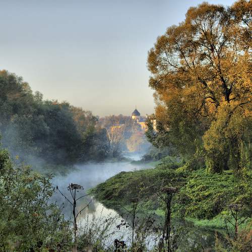 Photo #6577259