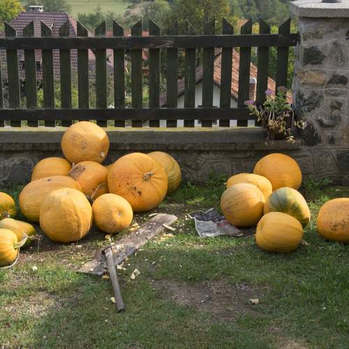 Photo #6577264