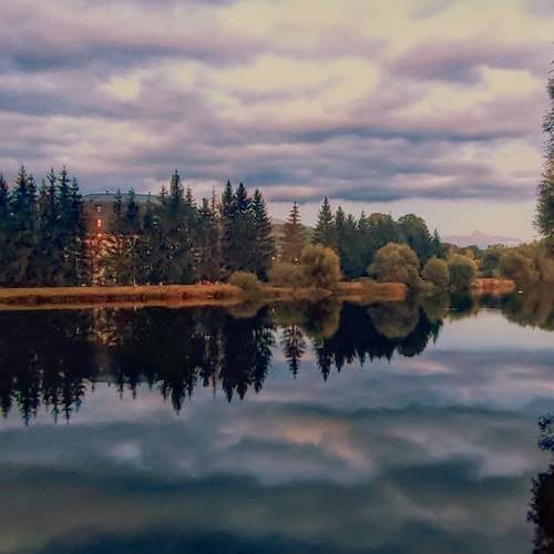 Photo #6577265