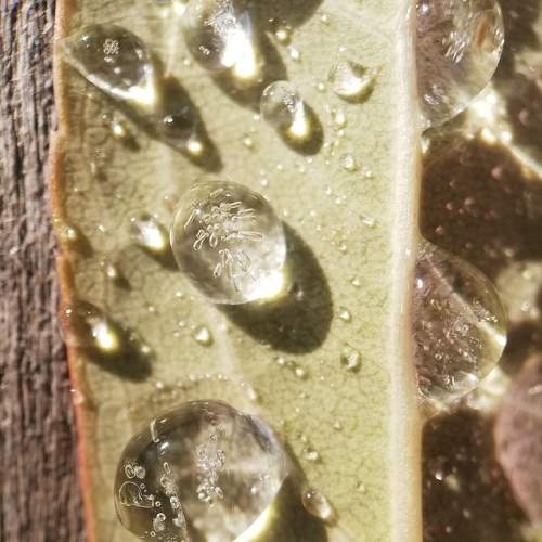 Photo #6577300