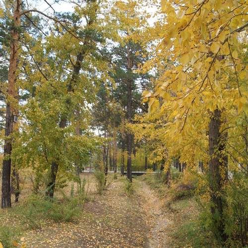 Photo #6577310