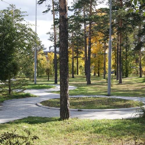 Photo #6577318