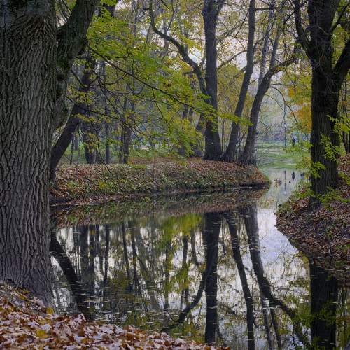 Осенний парк