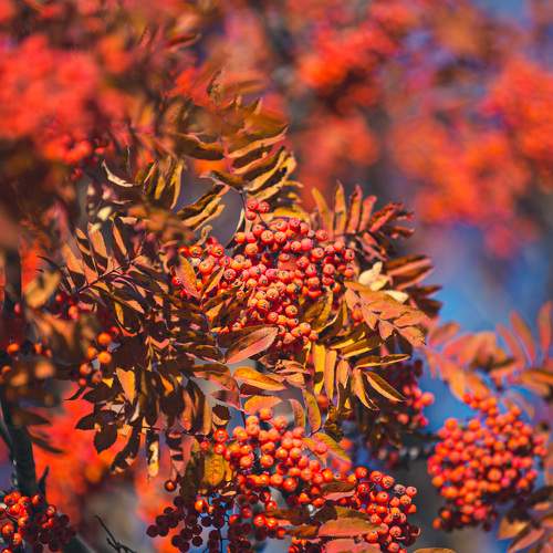 Photo #6577405