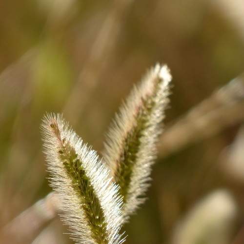 Photo #6577436