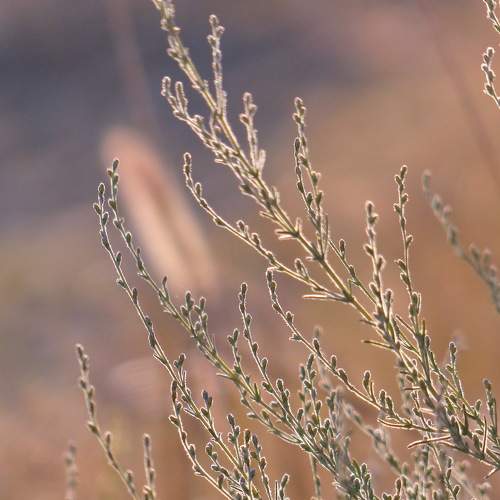 Photo #6577445