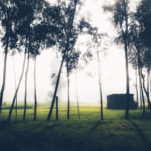 Photo #6577532