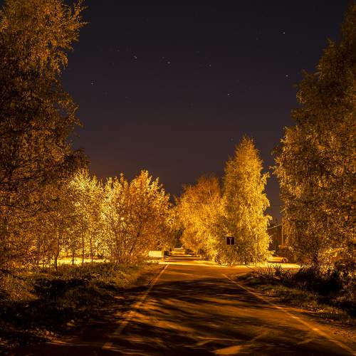Ночная осень.