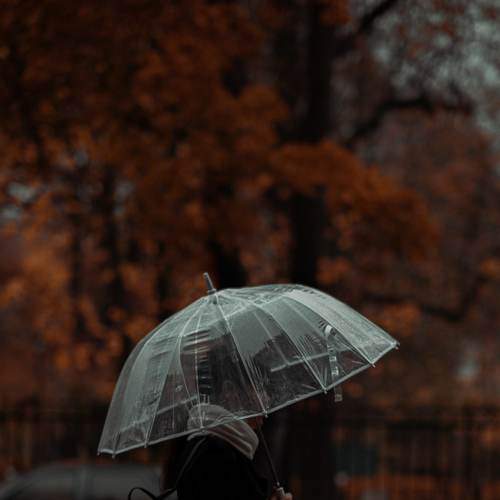 Photo #6577727