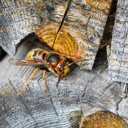 Photo #6577793