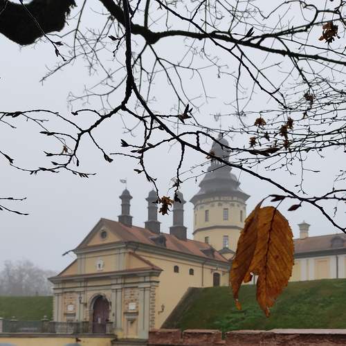 Photo #6577917