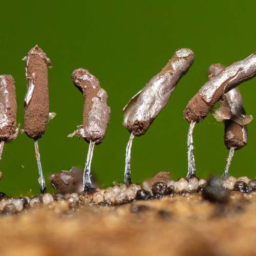 Photo #6578283