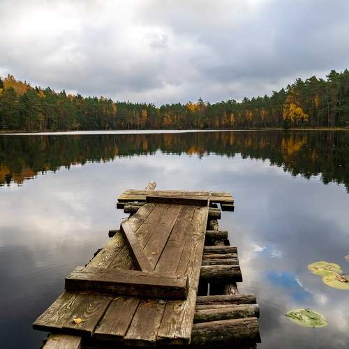 Photo #6578334