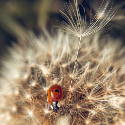 Photo #6578465